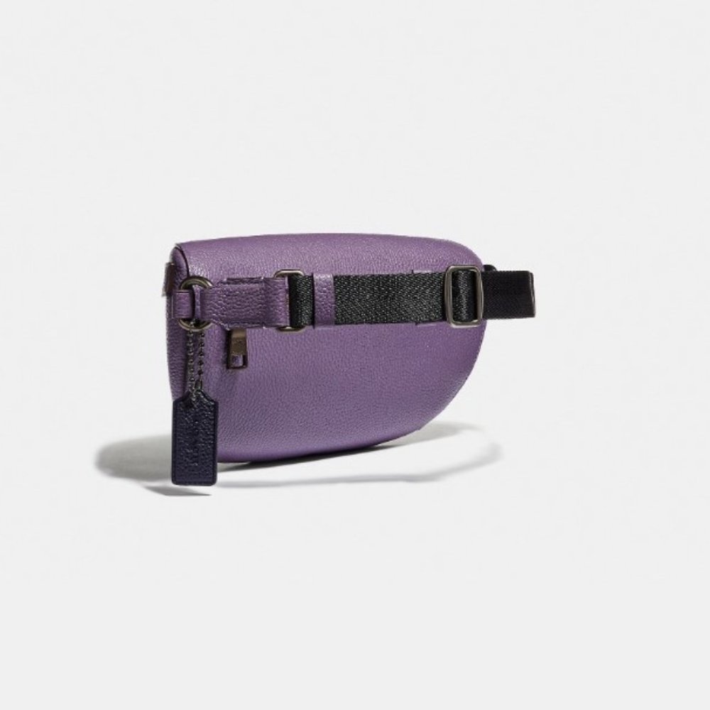 Coach X Zhu Jingyi Rexy Dinosaur Keychain Belt bag Fanny Crossbody Leather Purse - Picture 10 of 12